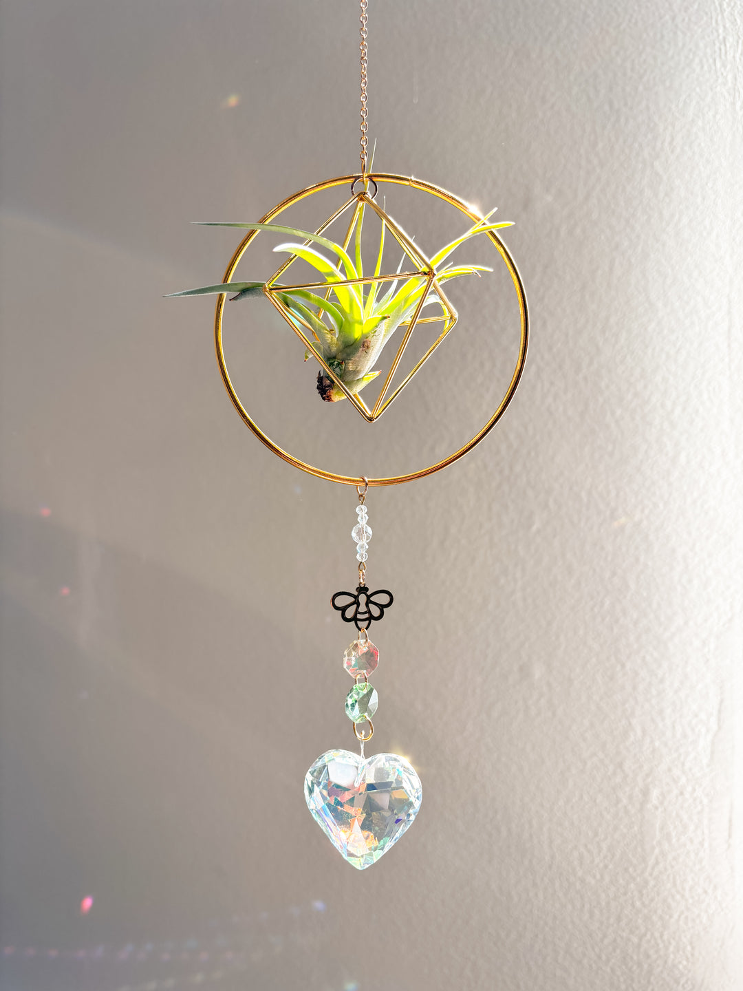 Geometrical Shape Crystal Suncatcher with Air Plant