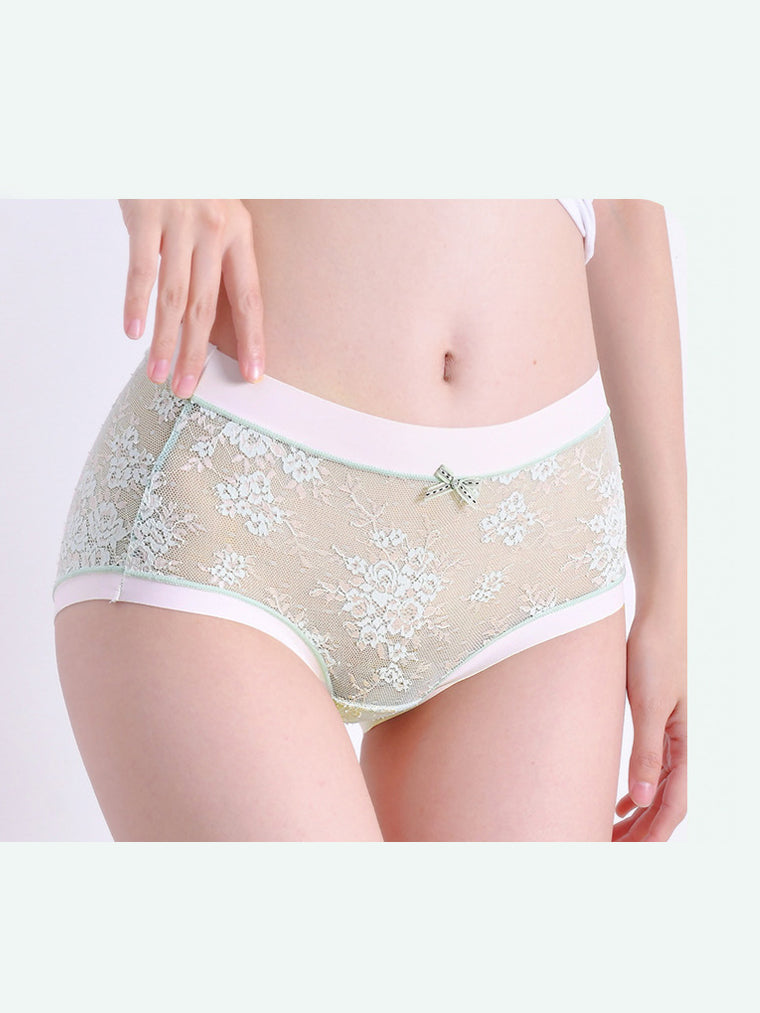 Brief Panty in Soft Floral Lace 